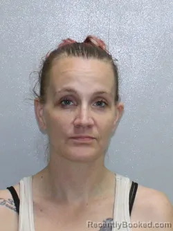 Mugshot of HEATHER NICHOLE FARRINGER booked in Stephenson County, Illinois on May 18, 2026