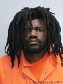 Mugshot of LARON LOYF FOUNTILA