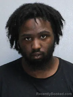 Mugshot of DAVION S KING booked in Stephenson County, Illinois on July 3, 2026
