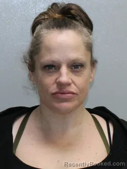 Mugshot of AMANDA KIM TORGENSEN