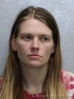 Mugshot of HEATHER L HAJEK