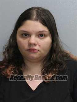 Booking photo from Stephenson County, Illinois