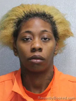Mugshot of LADASHA LYNN FRAZIER
