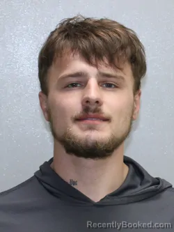 Mugshot of DRU LOWELL HOLLAND