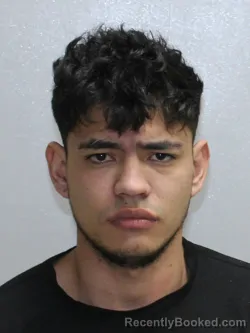 Mugshot of HUGO RAFAEL FLORES-ARGENAL