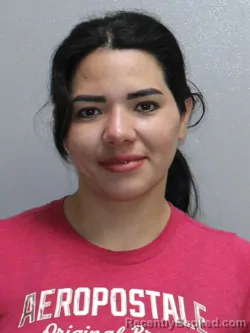 Mugshot of LILIAN LIZETH ARGUETA-GUTIERREZ
