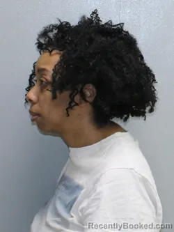 Mugshot of BETTINA DENISE CORBITT
