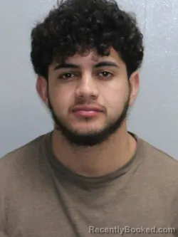 Mugshot of DANI ONAN SOTO booked in Stephenson County, Illinois on March 19, 2026