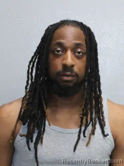 Mugshot of LEEARIUS DEVONTE WILLIAMS booked in Stephenson County, Illinois on March 26, 2026