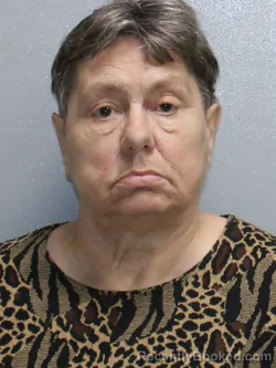 Mugshot of SHELIA MAY ANDERSON booked in Stephenson County, Illinois on June 12, 2026