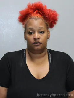 Mugshot of TIFFANY TANISHA BROWN booked in Stephenson County, Illinois on June 13, 2026