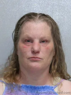 Mugshot of TRISHA LYNN HEALY booked in Stephenson County, Illinois on June 25, 2026