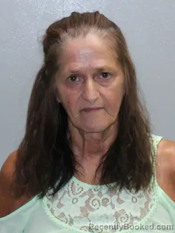 Mugshot of CINDY LOU JOHNSON booked in Stephenson County, Illinois on July 29, 2026