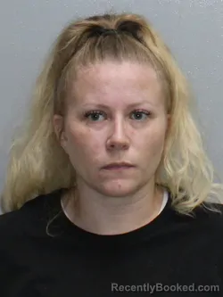 Mugshot of Heidi L Ottenhausen booked in Stephenson County, Illinois on August 26, 2026