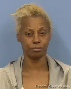 Mugshot of DAWN M BOYD booked in Vermilion County, Illinois on June 8, 2026