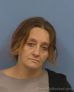 Mugshot of Kristina M Carrigan booked in Vermilion County, Illinois on August 30, 2026