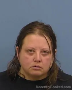 Mugshot of Cheryl L Funk booked in Vermilion County, Illinois on August 30, 2026