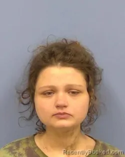 Mugshot of Krystal M Songer-Shub booked in Vermilion County, Illinois on September 11, 2026