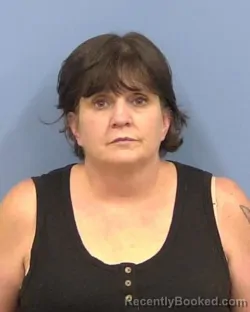 Mugshot of Kimberly S Mccalister booked in Vermilion County, Illinois on August 25, 2026