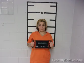 Mugshot of MADISON A MCGILL booked in Wabash County, Illinois on April 2, 2026