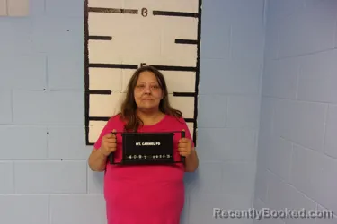 Mugshot of RANDI SUE LEWIS booked in Wabash County, Illinois on March 26, 2026