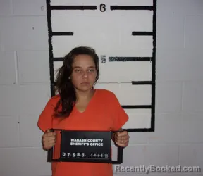 Booking photo from Wabash County, Illinois