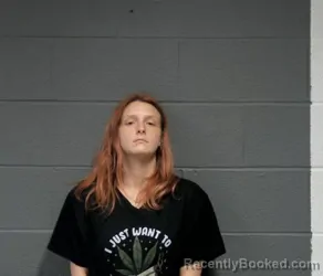 Mugshot of MEAGUN ALEXANDRIA FLANAGAN-ERWIN