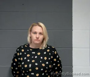 Mugshot of TEARA ANNE SANDER booked in Washington County, Illinois on April 11, 2026