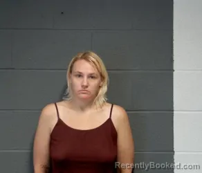 Mugshot of TEARA ANNE SANDER booked in Washington County, Illinois on July 15, 2026
