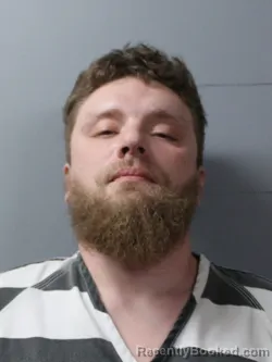 Mugshot of ANTHONY JAMES SIMPSON