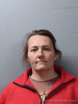 Mugshot of CRYSTAL MICHELLE WALLACE