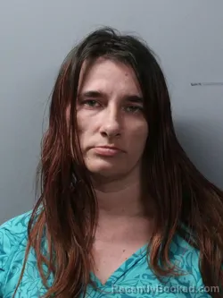 Mugshot of JAMIE L LONG