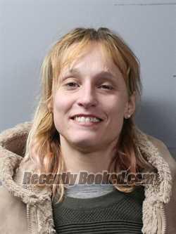 Booking photo from Wayne County, Illinois