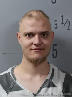 Mugshot of WILLIAM R HUDSON