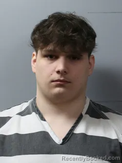 Mugshot of REMINGTON K DALTON booked in Wayne County, Illinois on March 17, 2026