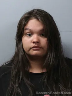 Mugshot of AZALEE E STEPHENS booked in Wayne County, Illinois on April 25, 2026