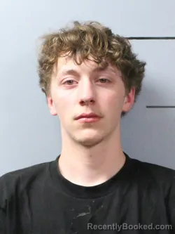 Mugshot of AIDEN L BUCHANAN booked in Wayne County, Illinois on June 7, 2026