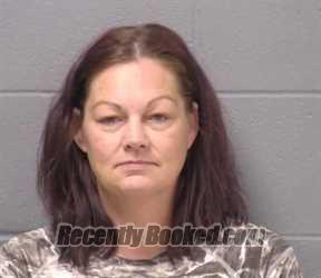 Mugshot of Kari A Dimock booked in Will County, Illinois on August 20, 2026