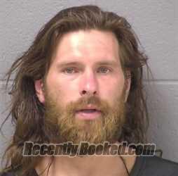 Mugshot of CARL E ELLIS