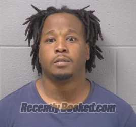 Booking photo from Will County, Illinois