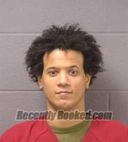 Mugshot of ERIN E JOHNSON booked in Will County, Illinois on March 14, 2026