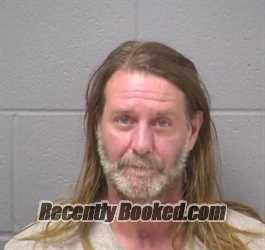 Booking photo from Will County, Illinois