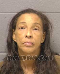 Mugshot of Kristen Renee Anderson booked in Will County, Illinois on October 20, 2026
