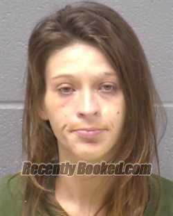Mugshot of Emily E Watkins booked in Will County, Illinois on August 26, 2026