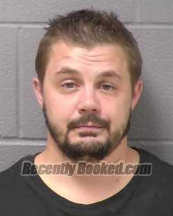 Mugshot of ANTHONY M APOSTOLOU booked in Will County, Illinois on April 4, 2026