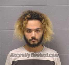 Mugshot of NICOLAS B GUZMAN booked in Will County, Illinois on July 6, 2026