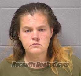 Mugshot of Michelle C Korwin booked in Will County, Illinois on September 3, 2026