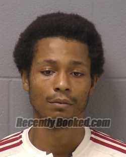 Mugshot of KYLE A LEWIS booked in Will County, Illinois on March 28, 2026