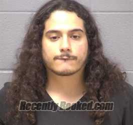 Mugshot of ELIAN J RAYA booked in Will County, Illinois on March 14, 2026