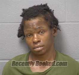 Mugshot of CONSTANCE N TITUS booked in Will County, Illinois on April 3, 2026